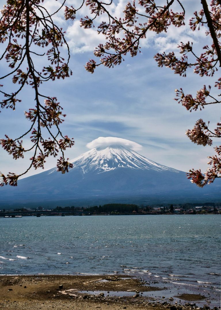 Captivating scene of Mount Fuji framed by cherry blossoms in Fujikawaguchiko, Japan.