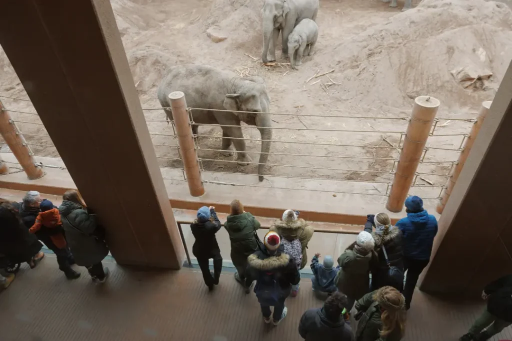 哥本哈根動物園